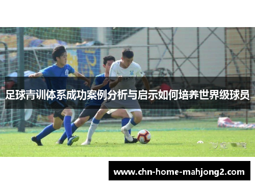 足球青训体系成功案例分析与启示如何培养世界级球员