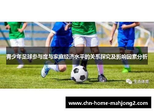 青少年足球参与度与家庭经济水平的关系探究及影响因素分析 青少年足球参与度与家庭经济水平的关系探究及影响因素分析