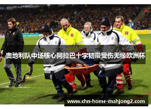 奥地利队中场核心阿拉巴十字韧带受伤无缘欧洲杯